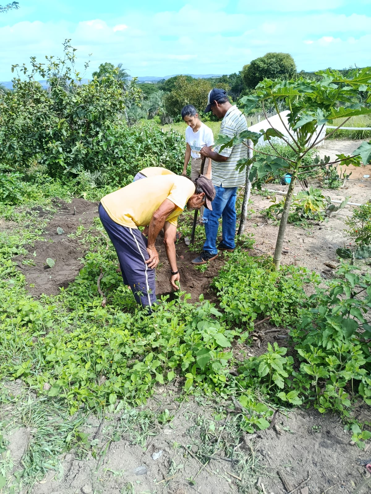 Produção Sustentável e Solidária