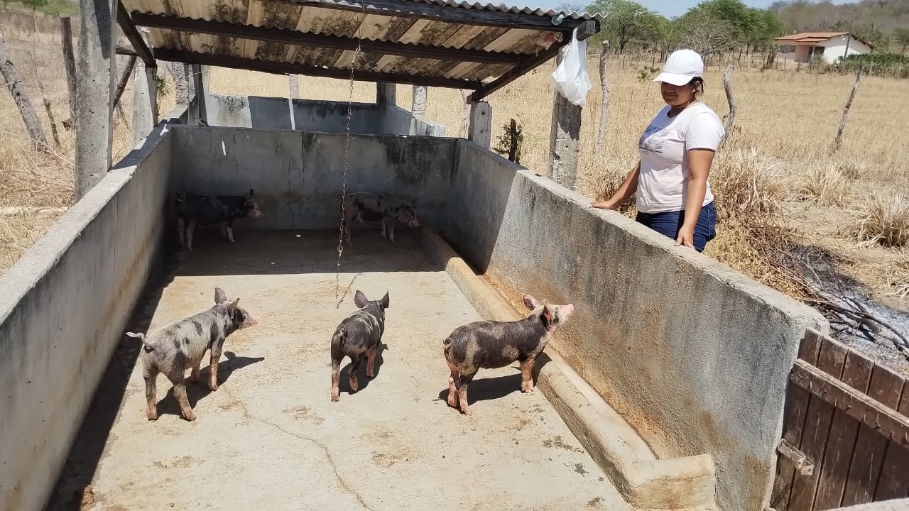 Produção Sustentável e Solidária