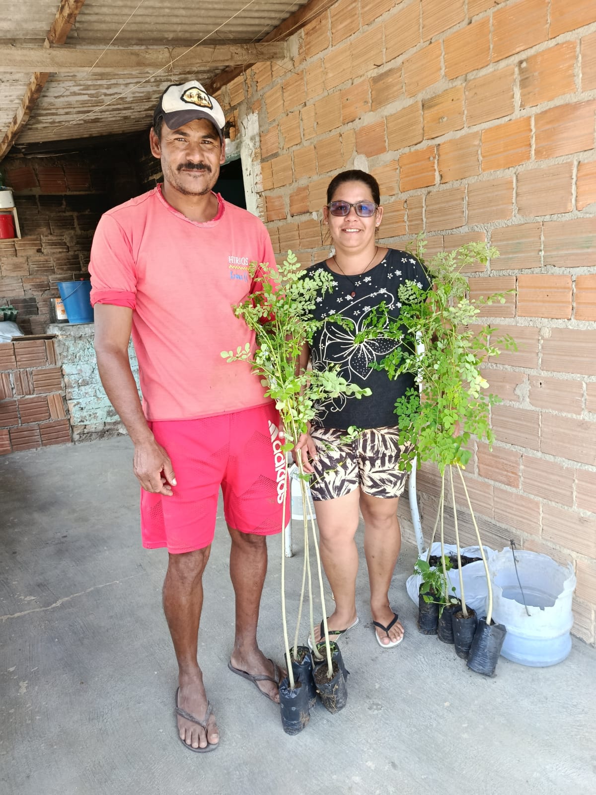 Produção Sustentável e Solidária